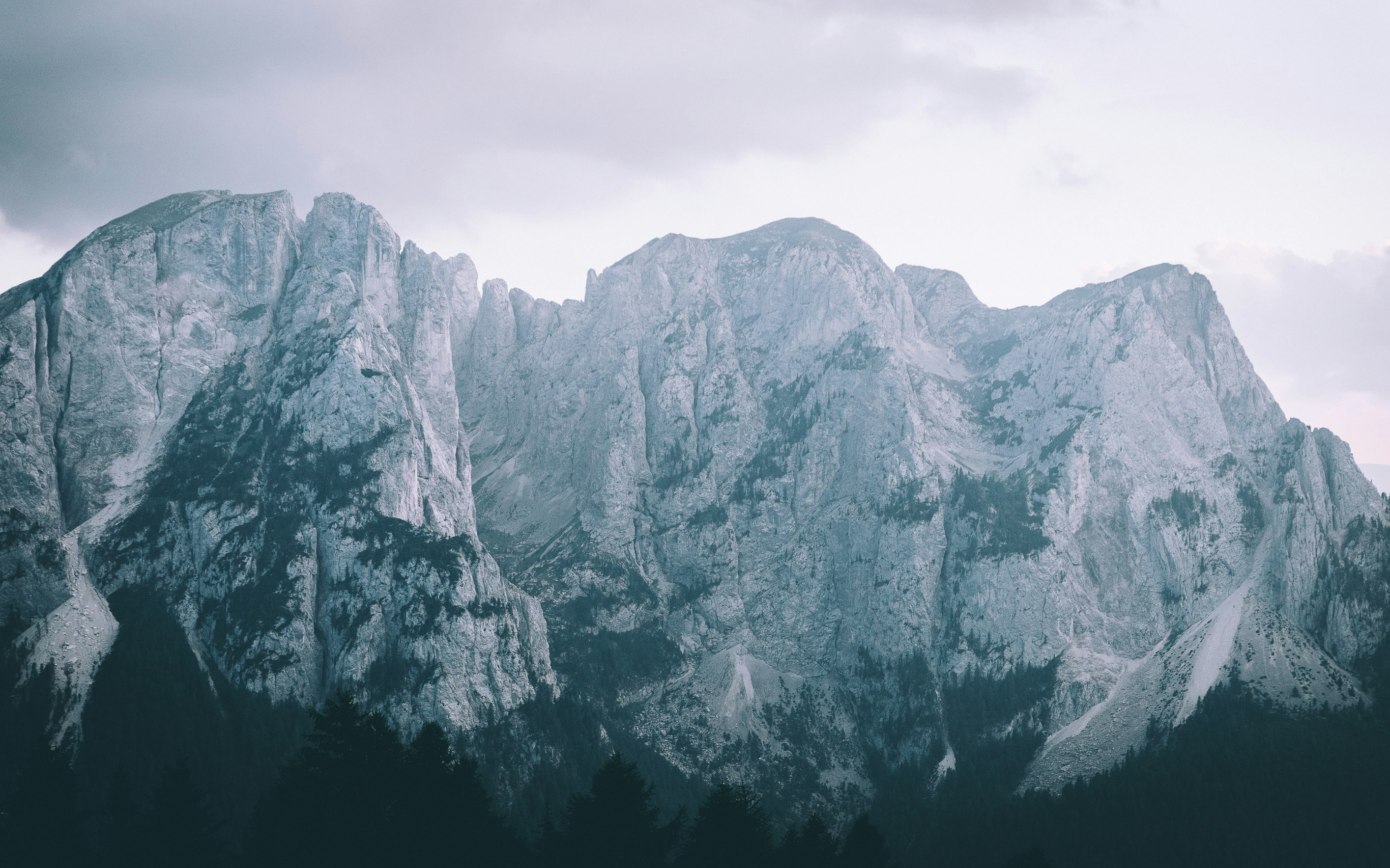 silhouette of trees under white rocky mountain